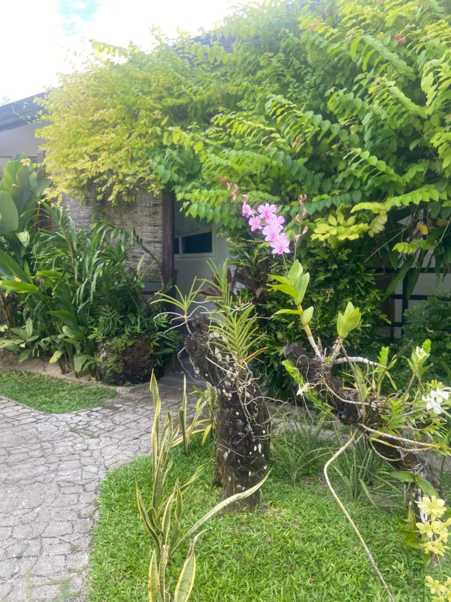 Vivo Siargao Hotel General Luna  Kültér fotó
